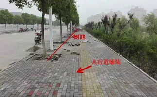 从识图算量到施工工艺 深圳市政造价培训路面工程深度解析